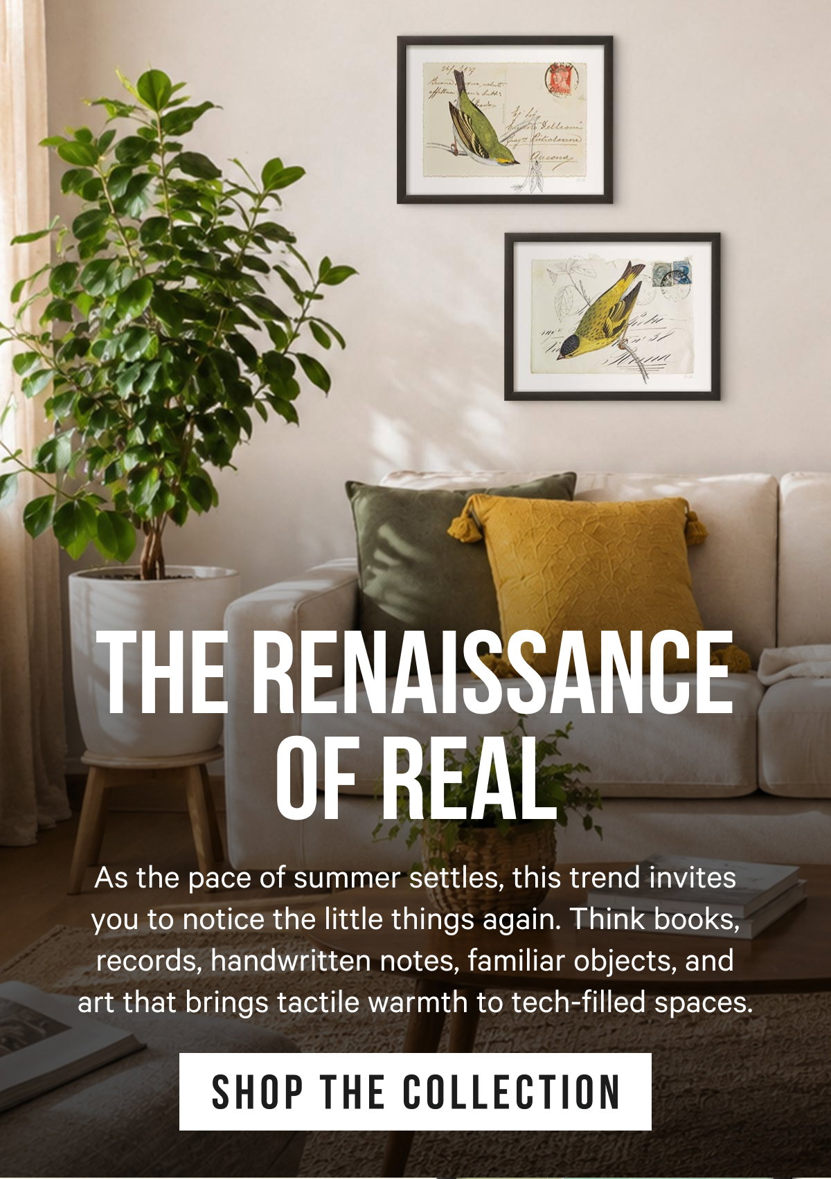 The Renaissance of Real: As the pace of summer settles, this trend invites you to notice the little things again. Think books, records, handwritten notes, familiar objects, and art that brings tactile warmth to tech-filled spaces.