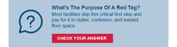Quiz Section