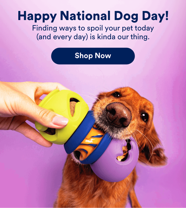 Happy National Dog Day! Finding ways to spoil your pet today (and every day) is kinda our thing. Shop Now!