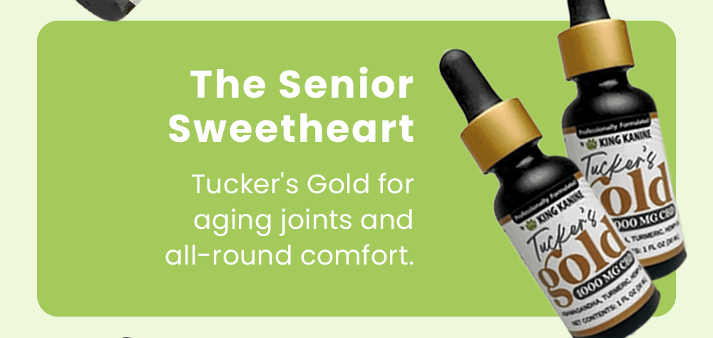 The Senior Sweetheart: Tucker's Gold for aging joints and all-round comfort.