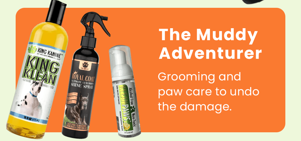 The Muddy Adventurer: Grooming and paw care to undo the damage.