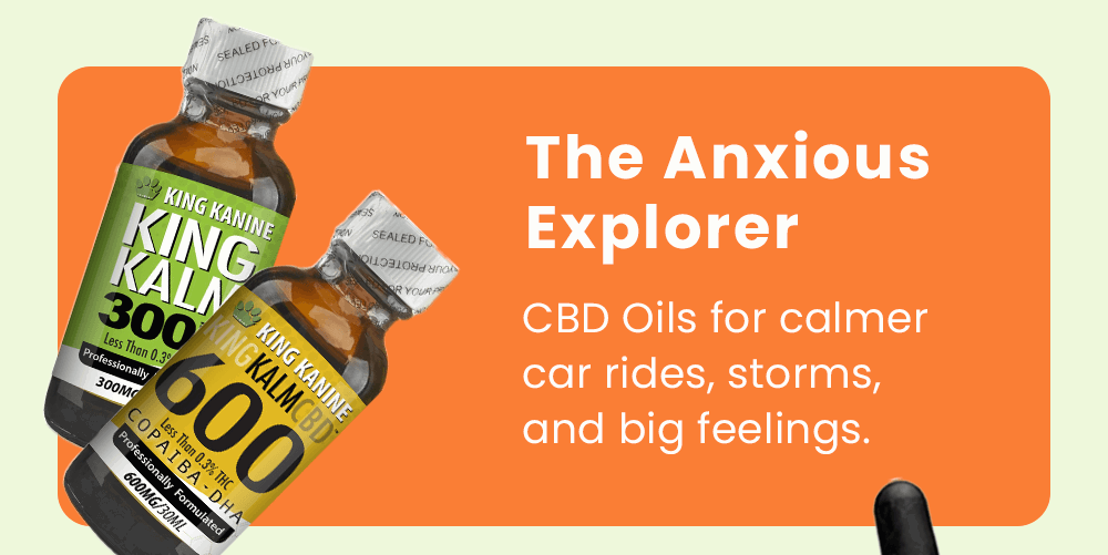 The Anxious Explorer: CBD Oils for calmer car rides, storms, and big feelings.