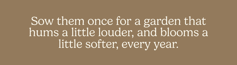 Sow them once for a garden that hums a little louder, and blooms a little softer, every year.
