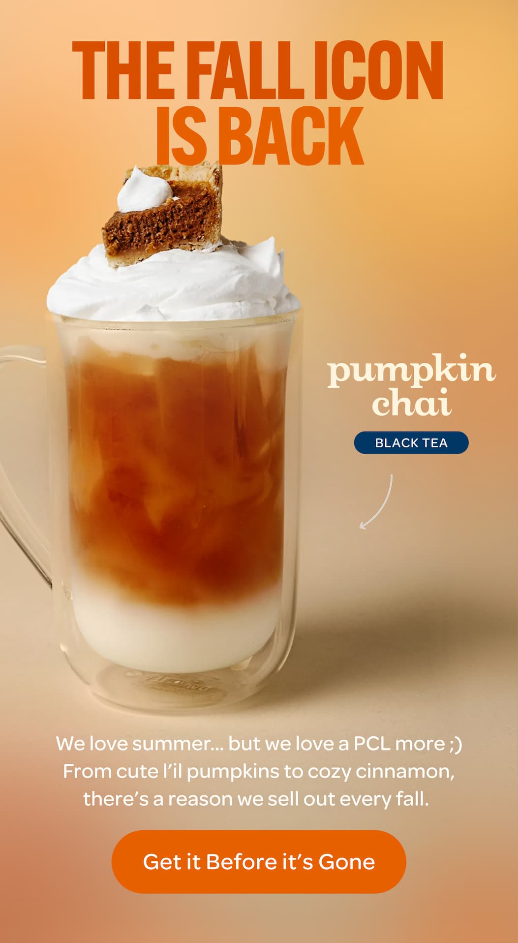 pumpkin chai is back