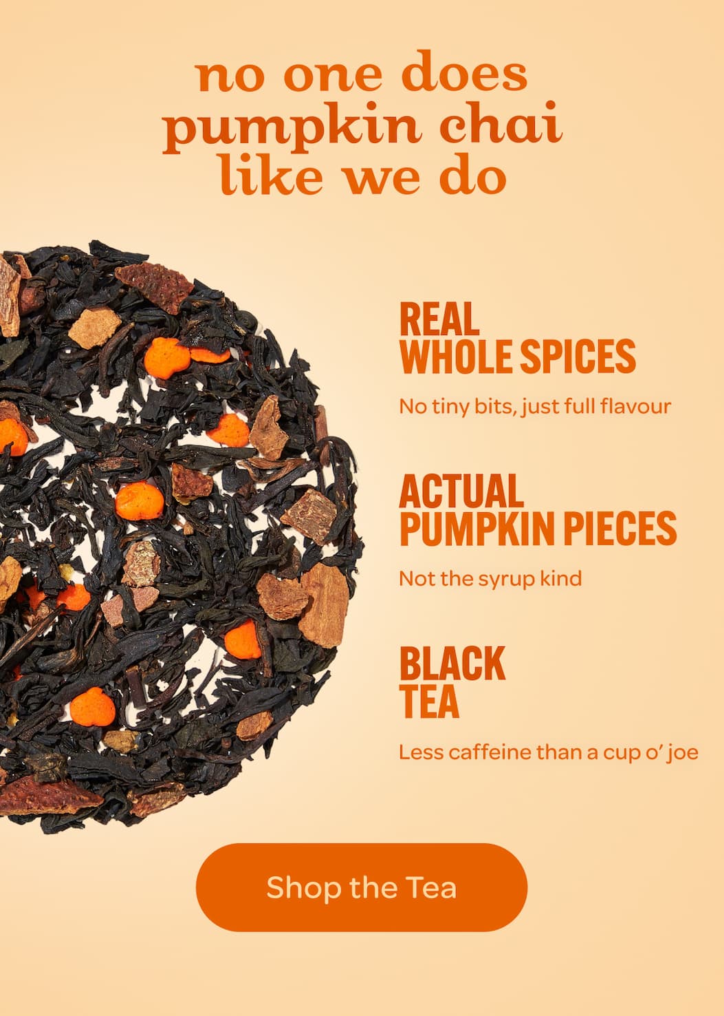 pumpkin chai is back