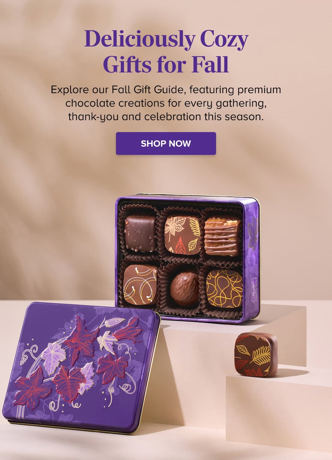 Deliciously Cozy Gifts for Fall SHOP NOW
