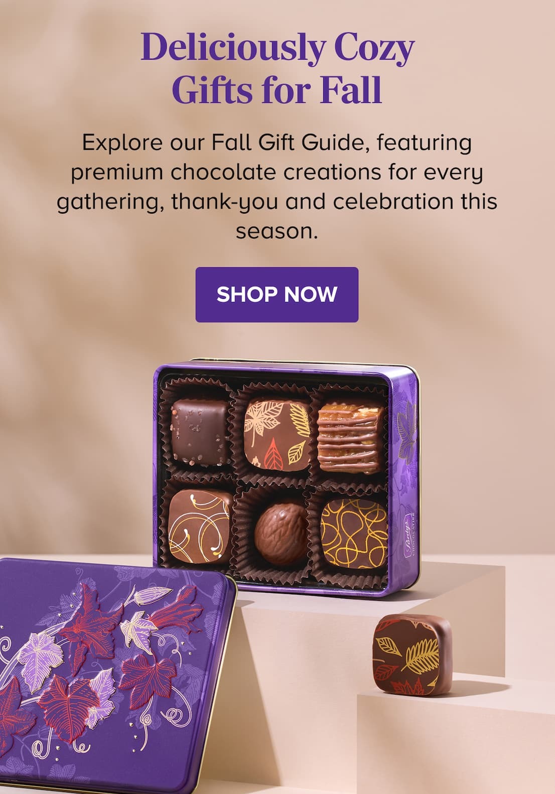 Deliciously Cozy Gifts for Fall SHOP NOW