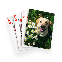 Playing Cards