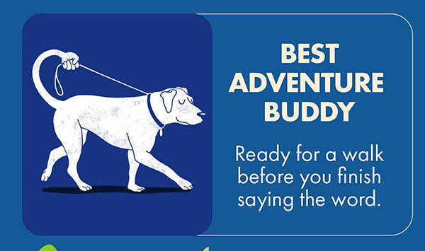 BEST ADVENTURE BUDDY Ready for a walk before you finish saying the word.