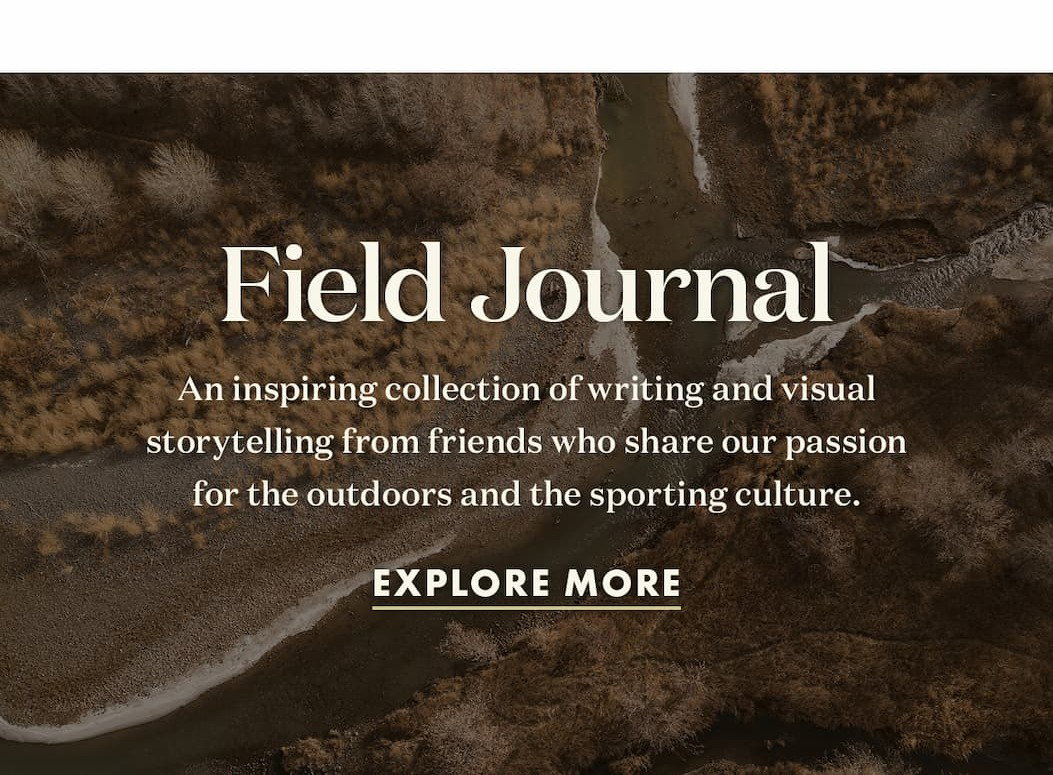 Field Journal 