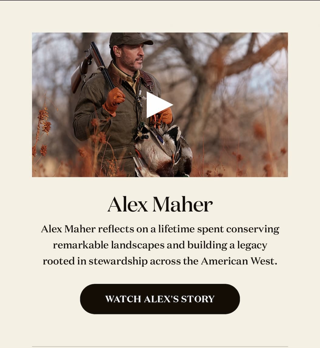 Alex Maher: Life in Service