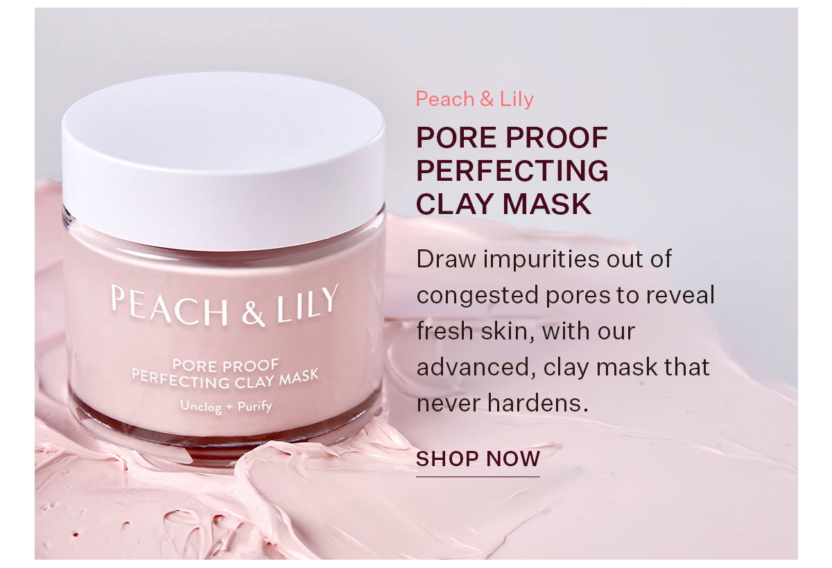Pore Proof Perfecting Clay Mask