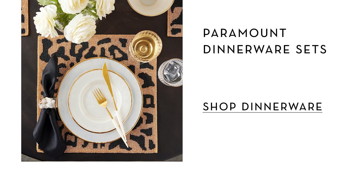 Shop Dinnerware