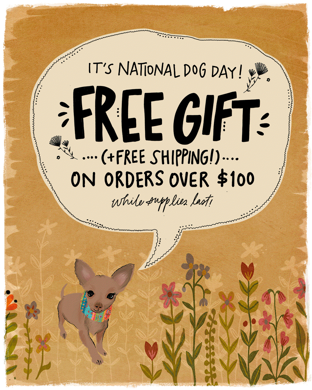 SHOP NOW!
