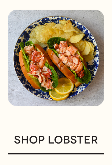 SHOP LOBSTER