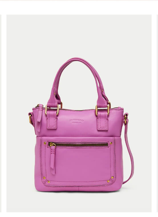 Jamestown Mini Tote Crossbody
