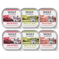 Wolf of Wilderness Adult Classic 6 x 300g