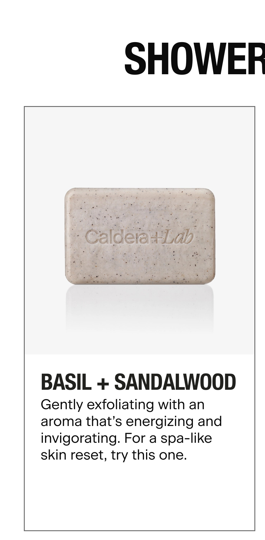 BASIL + SANDALWOOD