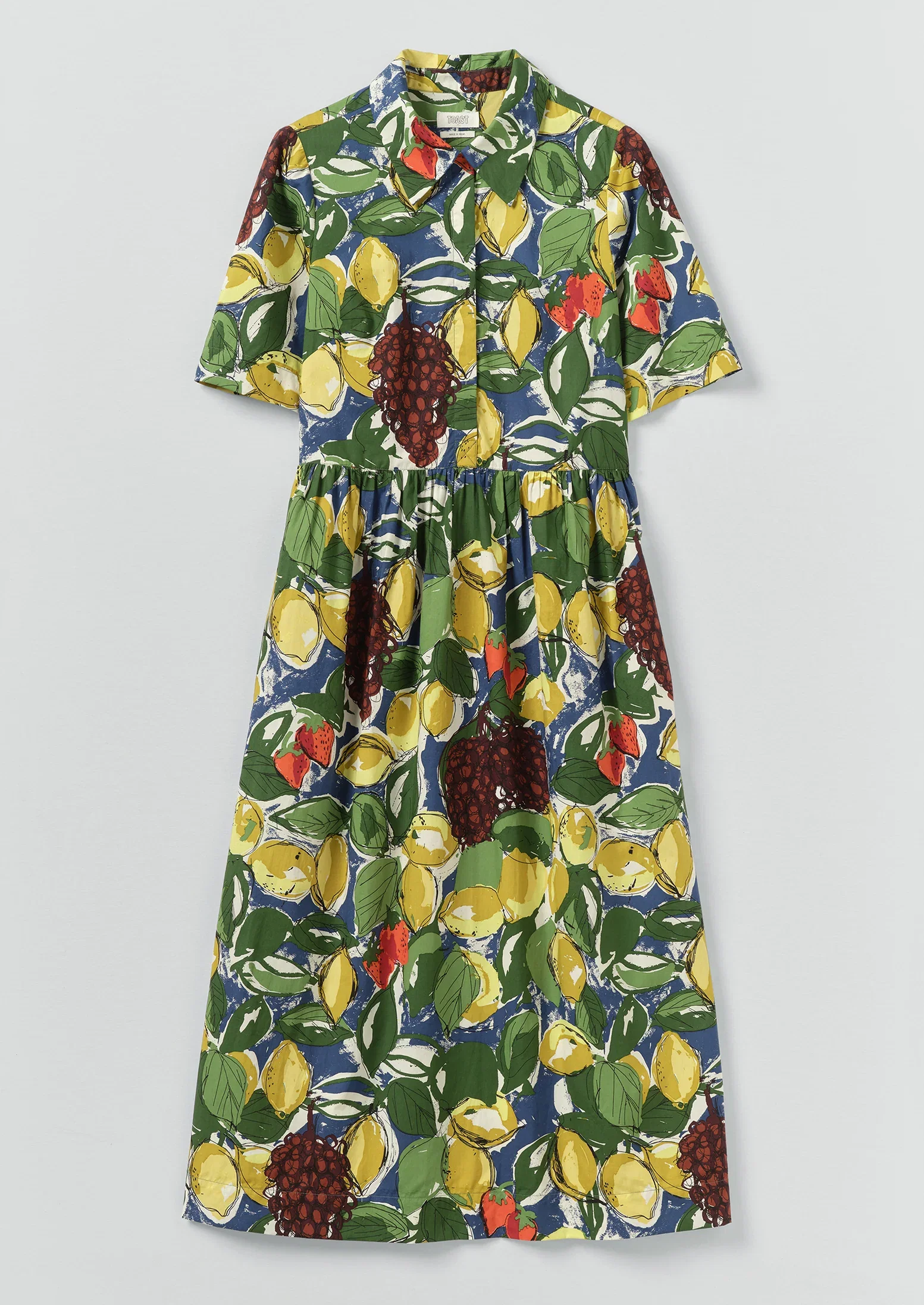 Image of Selma Sketched Fruit Print Shirt Dress | Verdigris/Multi