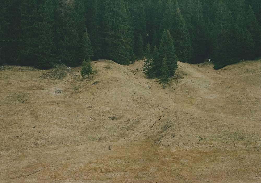 Landscape Mood