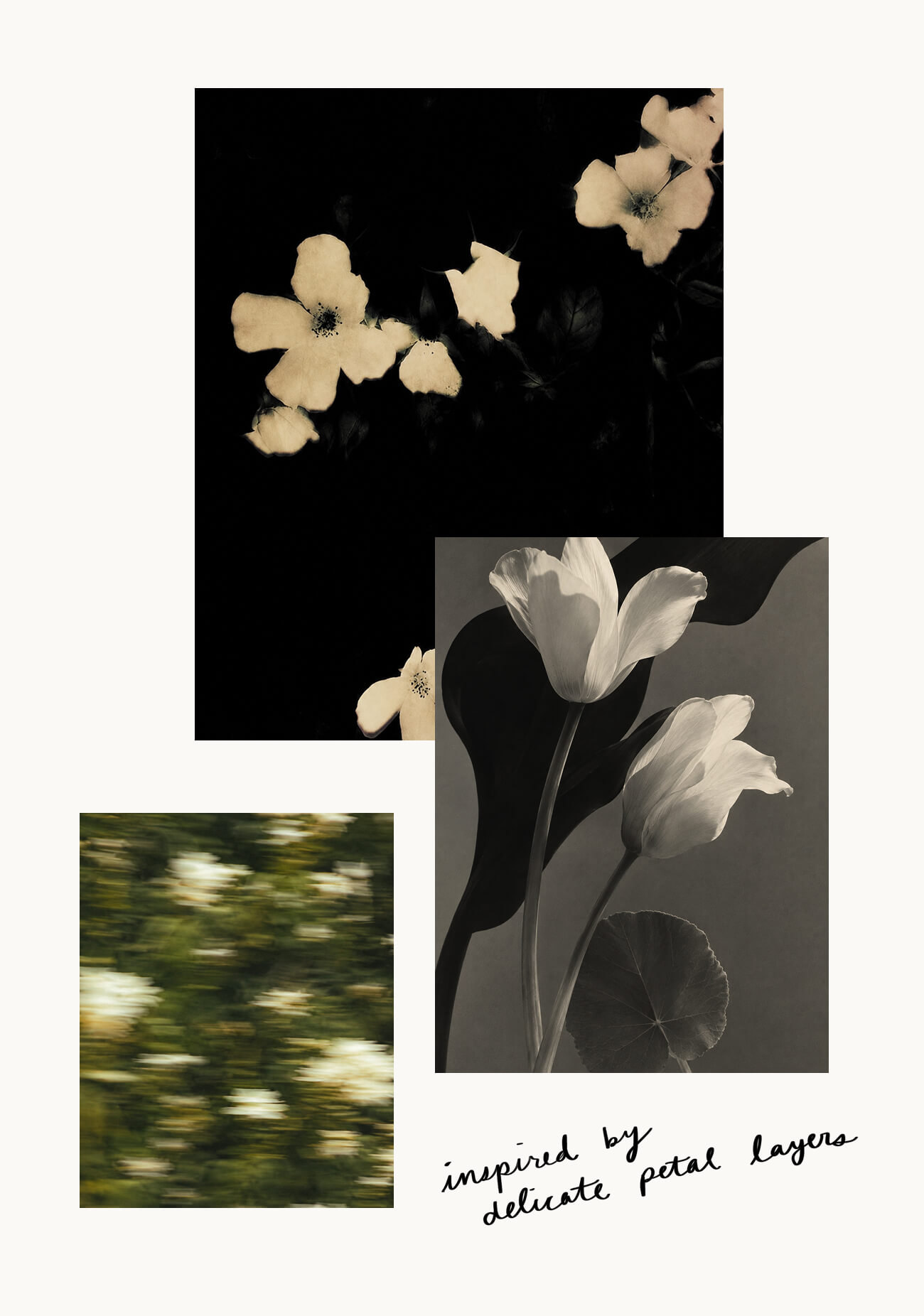 Layered Petals
