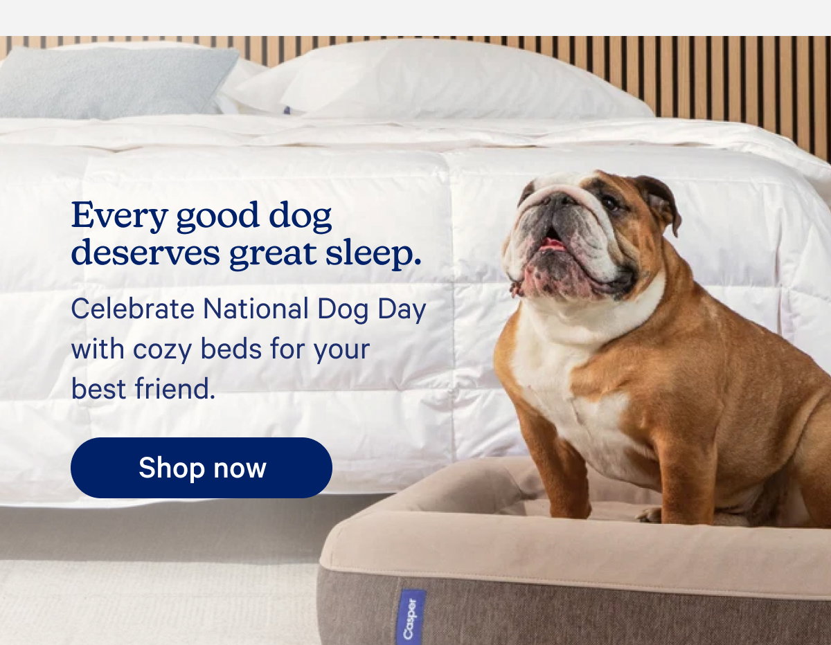 shop the dog bed