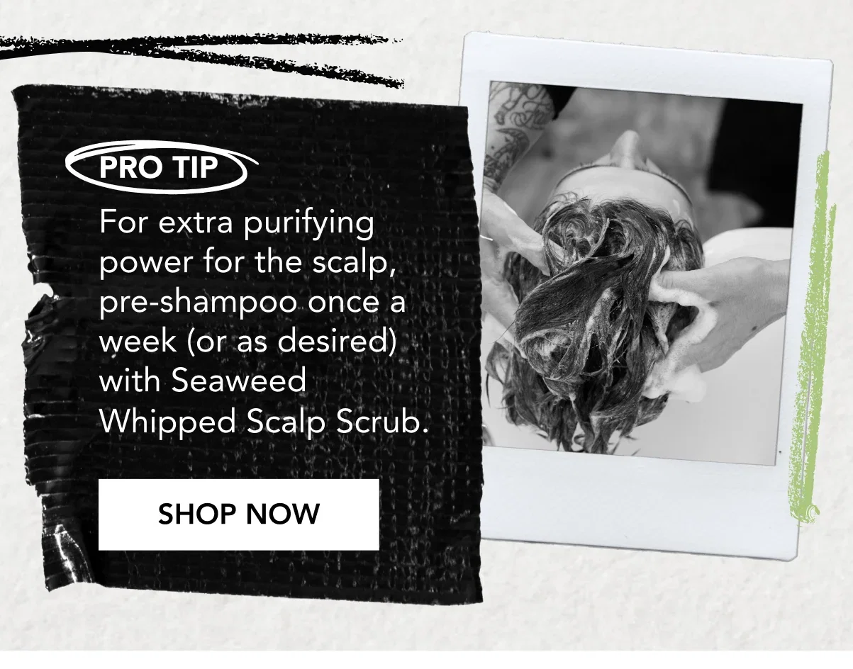 PRO TIP | For extra purifying power for the scalp, pre-shampoo once a week (or as desired) with Seaweed Whipped Scalp Scrub. | SHOP NOW PRO TIP | For extra purifying power for the scalp, pre-shampoo once a week (or as desired) with Seaweed Whipped Scalp Scrub. | SHOP NOW