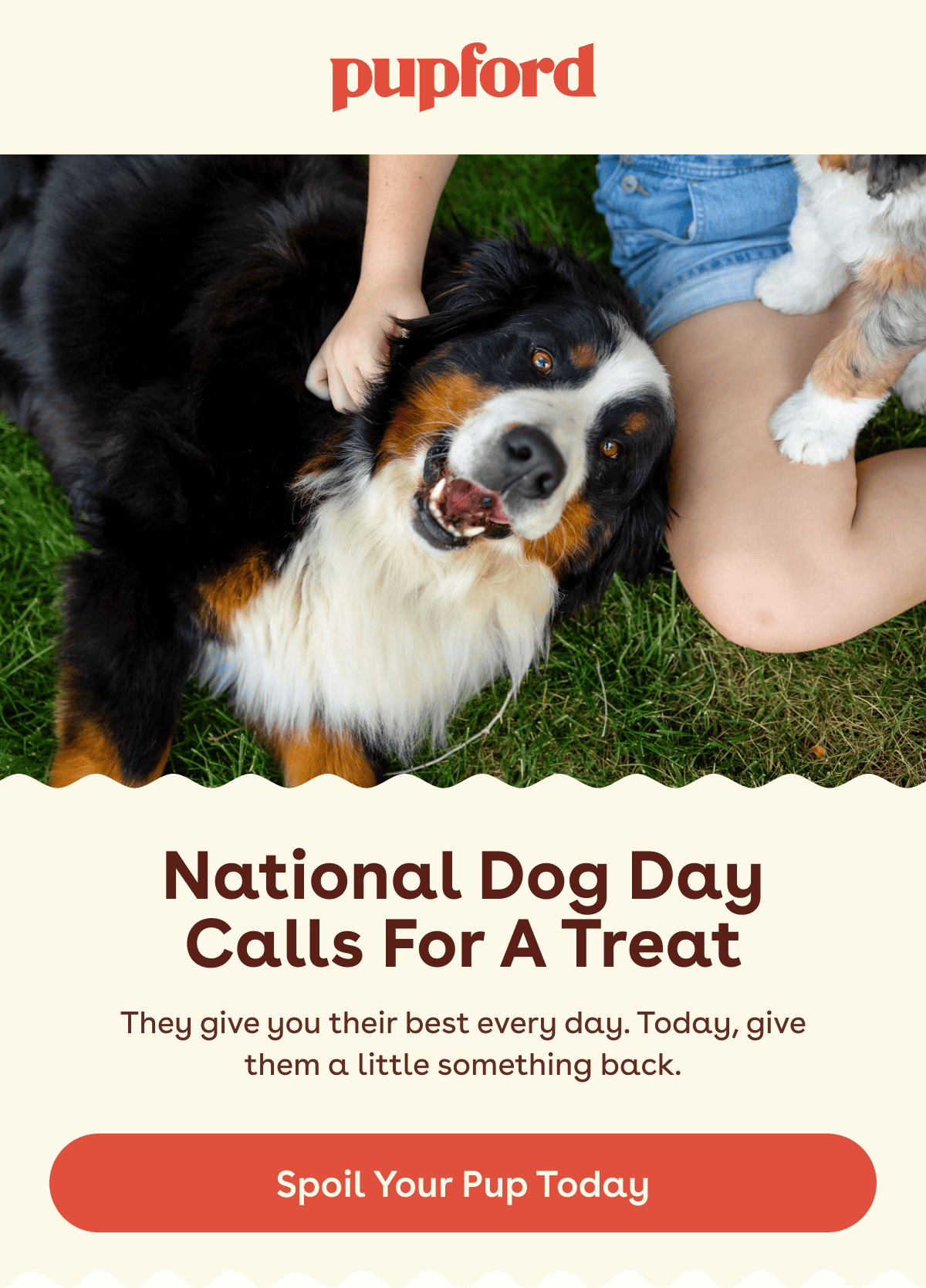 They give you their best every day. Today, give them a little something back.