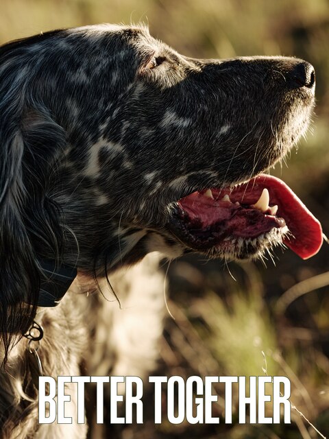 Shop Irish Setter Boots