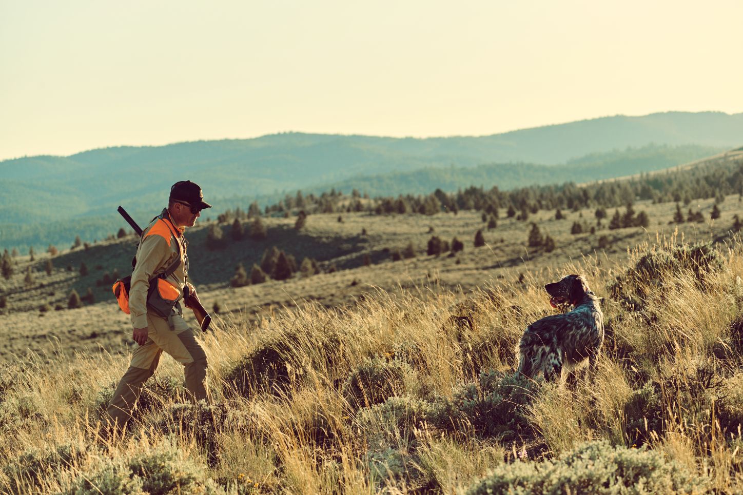 Irish Setter Hunt