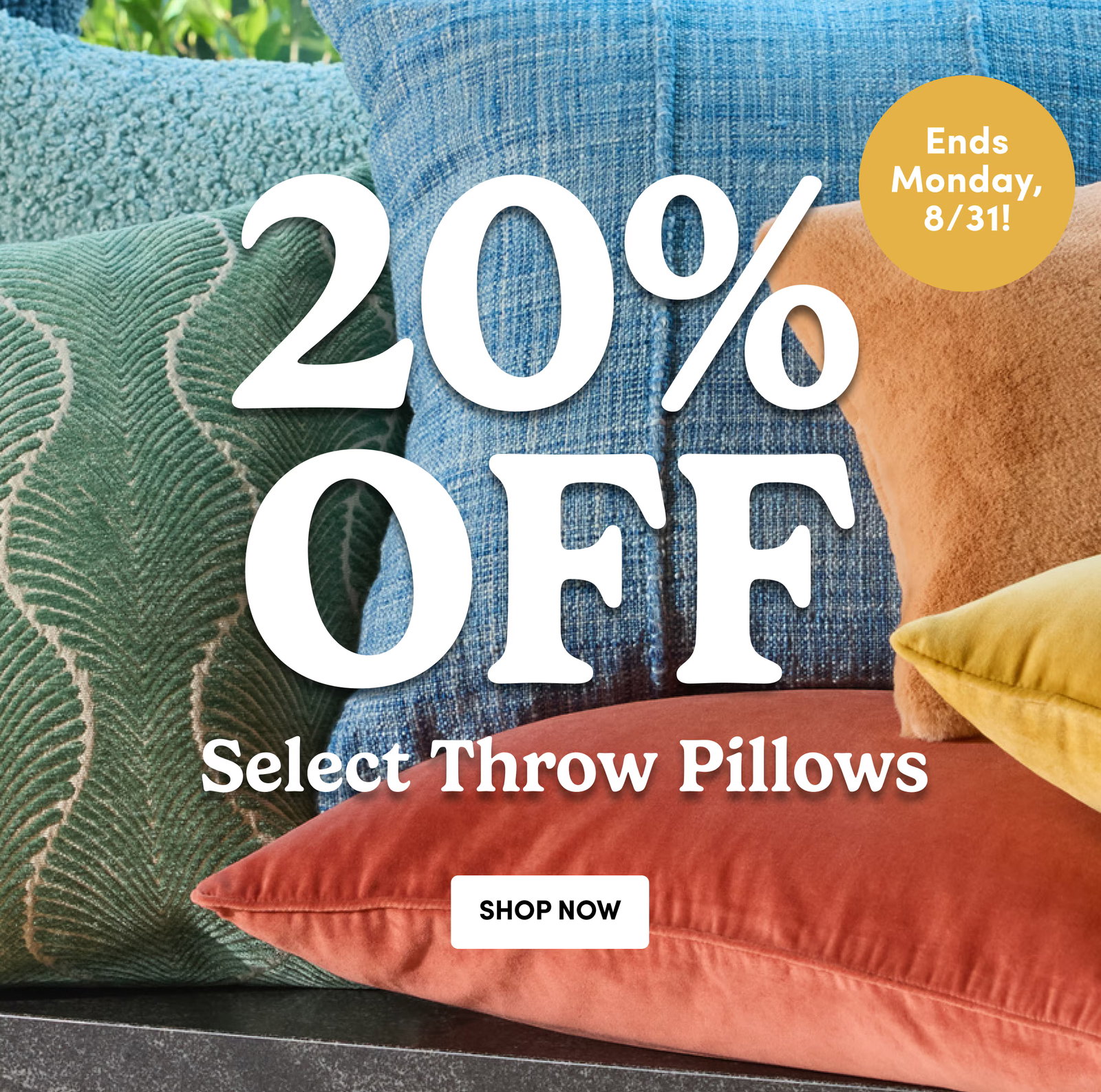 Ends Monday, 8/31! | 20% OFF | Select Throw Pillows | SHOP NOW
