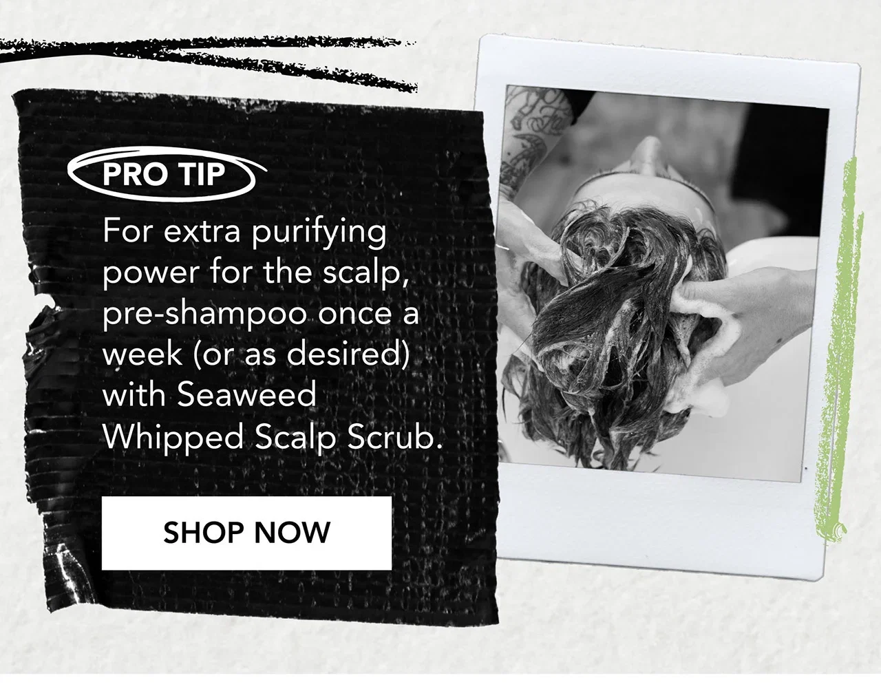 PRO TIP | For extra purifying power for the scalp, pre-shampoo once a week (or as desired) with Seaweed Whipped Scalp Scrub. | SHOP NOW PRO TIP | For extra purifying power for the scalp, pre-shampoo once a week (or as desired) with Seaweed Whipped Scalp Scrub. | SHOP NOW