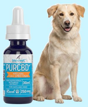PurCBD Oil with dog