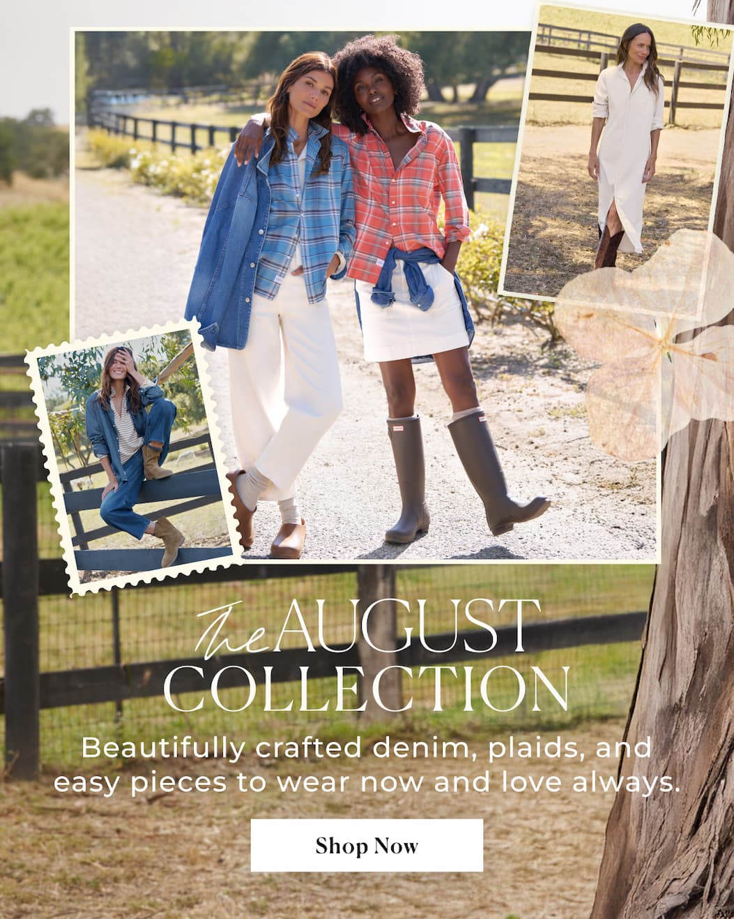 Fall Collection 