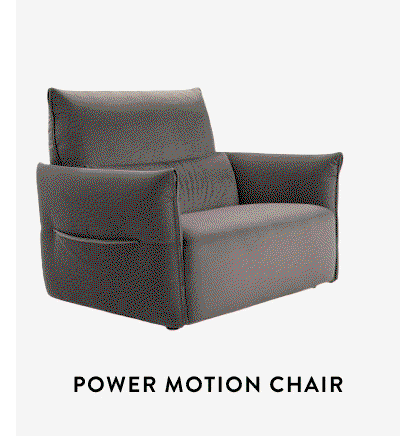 Wellbe Power Motion Lounge Chair