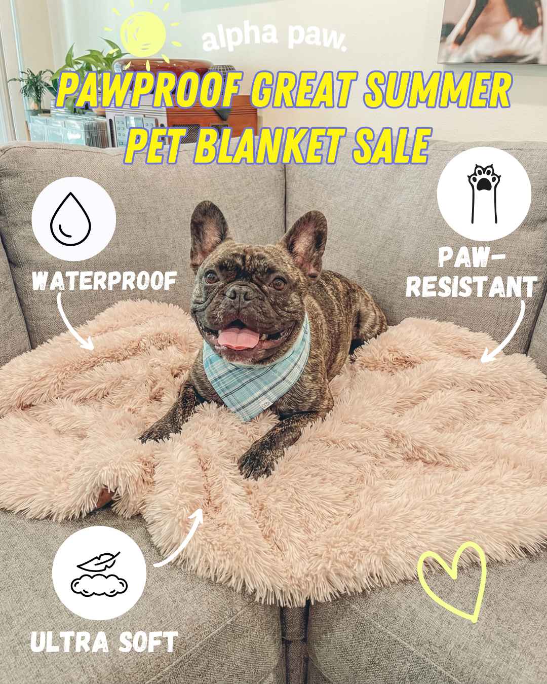 Pawproof summer pet blanket