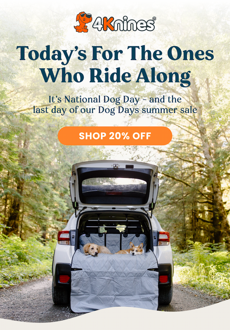 SHOP 20% OFF 