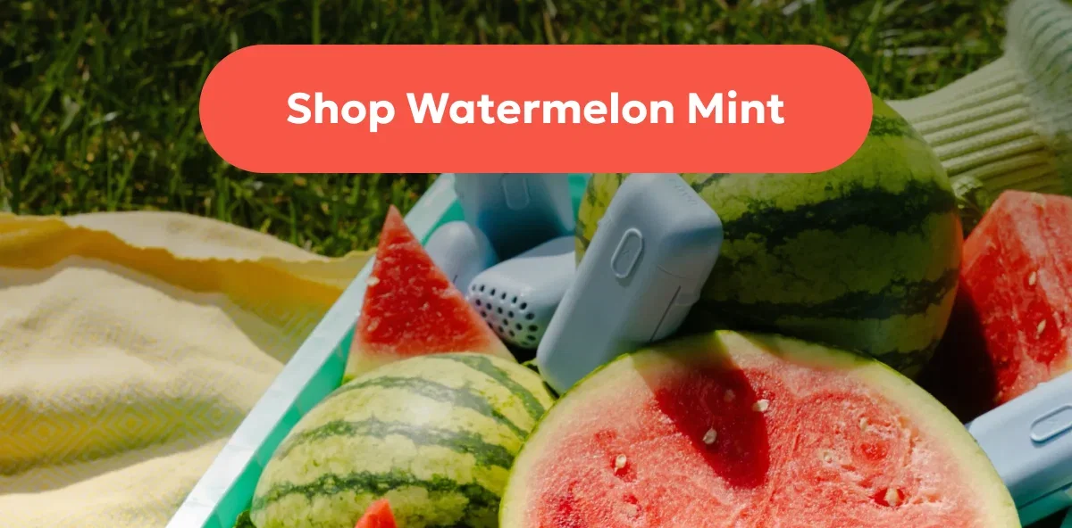 Shop Watermelon Mint