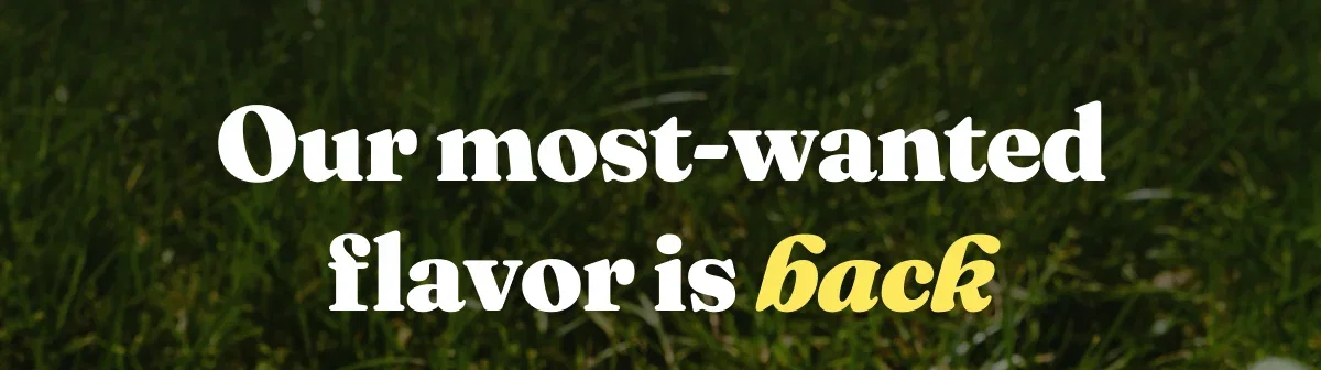 Our most-wanted flavor is back