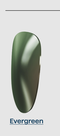 Shop Evergreen Lens