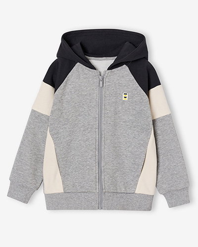 Zipped hooded sweatshirt for boys with colour block design - marl grey