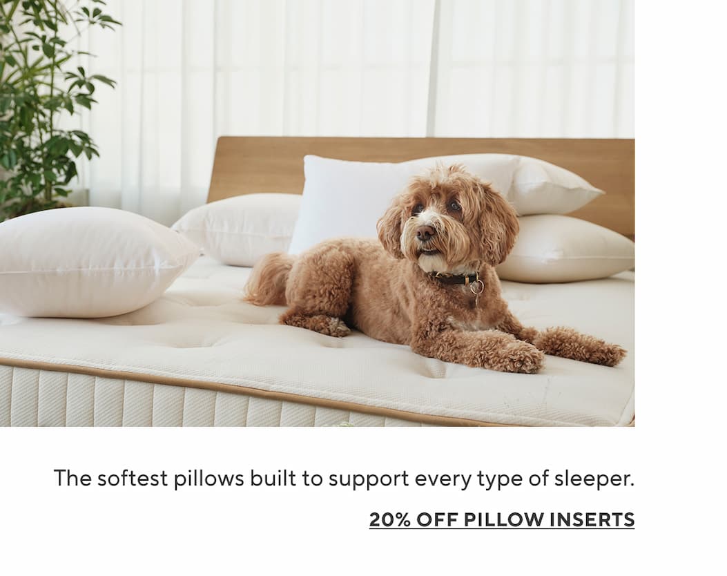 The softest pillows built to support every type of sleeper. 20% Off Pillow Inserts >