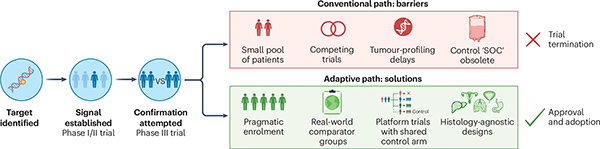 A diagram showing the barriers and potential solutions to testing a drug in people with a rare type of cancer. 