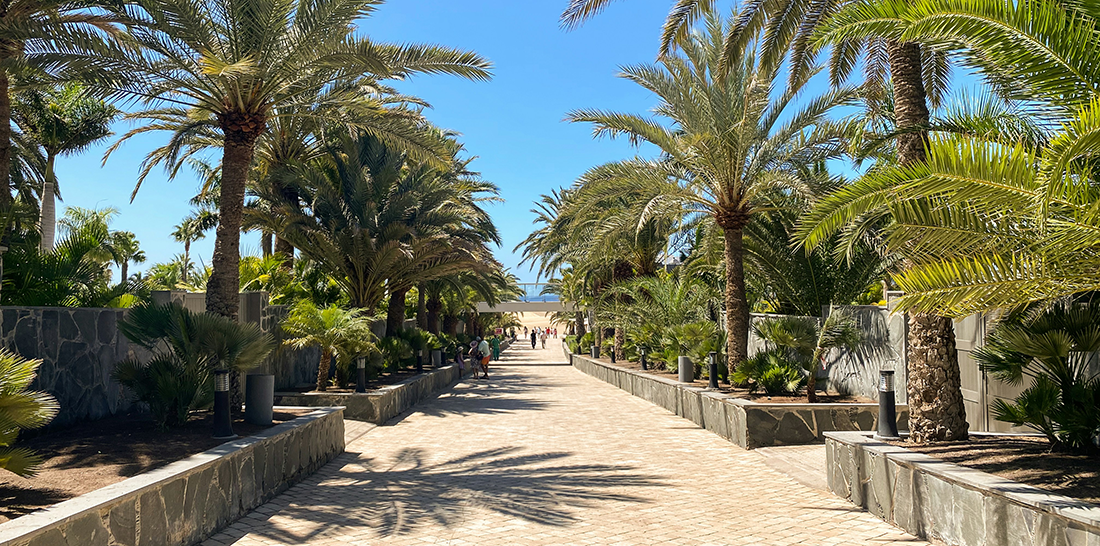Gran Canaria doesn't do seasons 