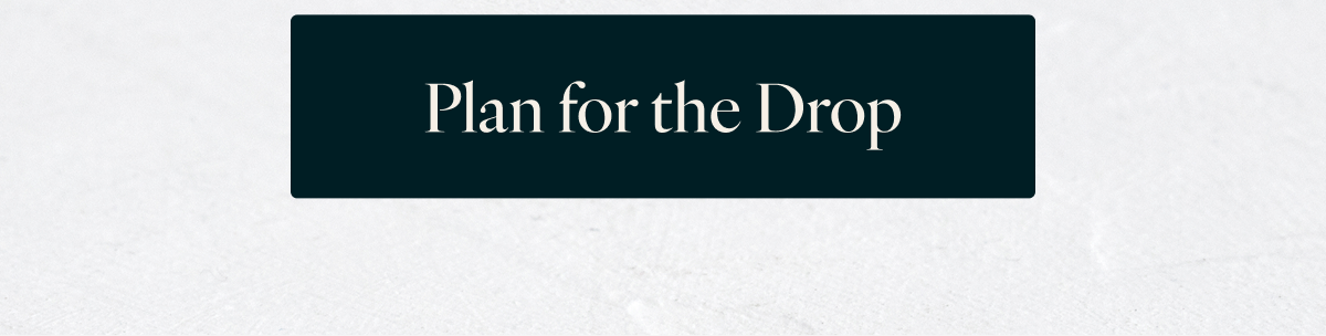 Plan for the Drop