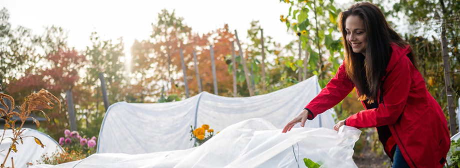 Webinar Replay: Growing Under Cover - Learn More