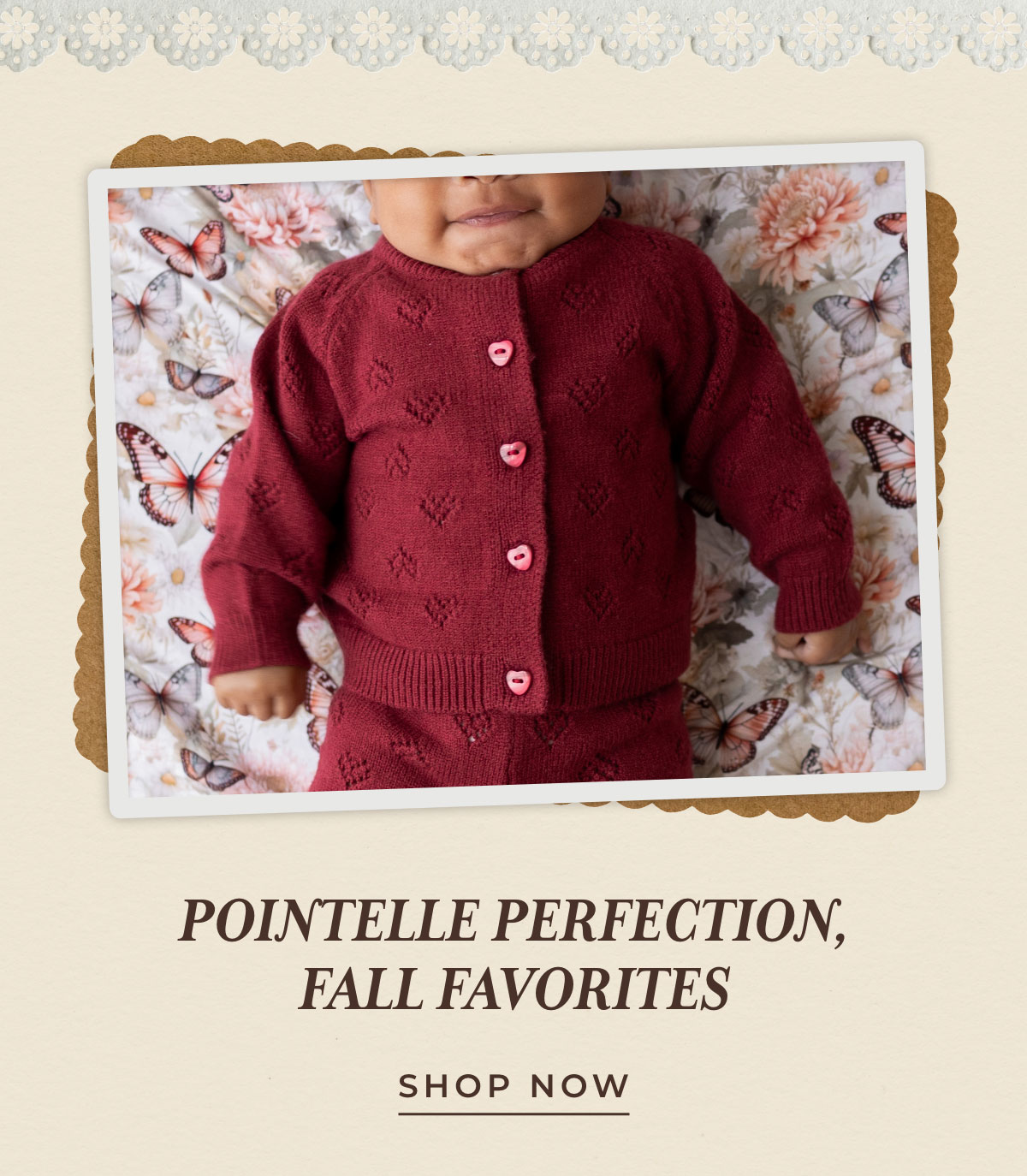 Pointelle Perfection Fall Favorites