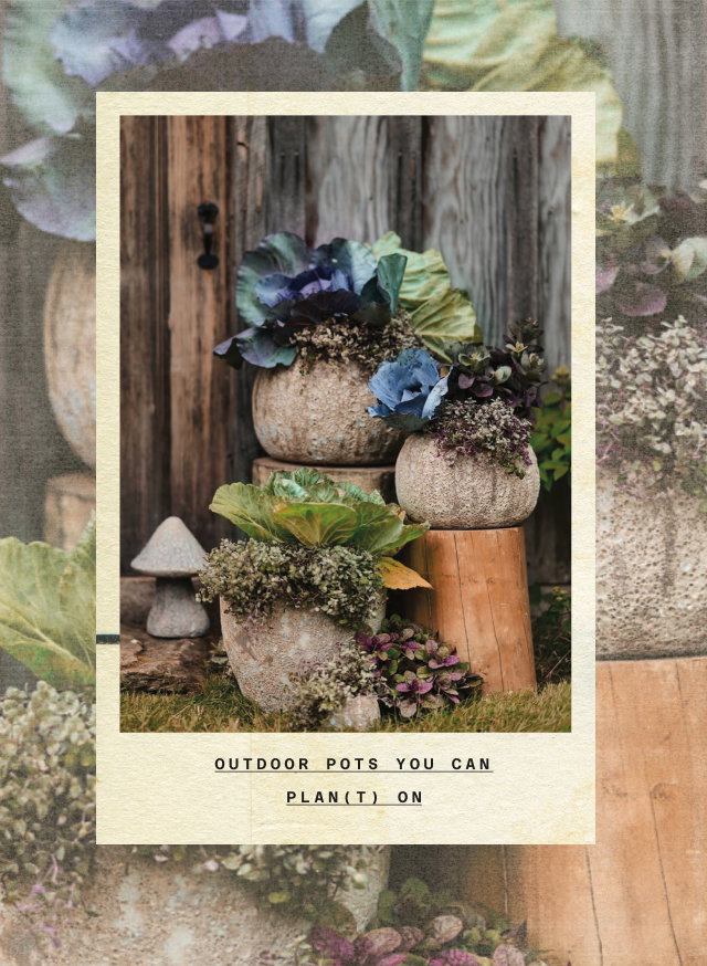 outdoor pots you can plan(t) on
