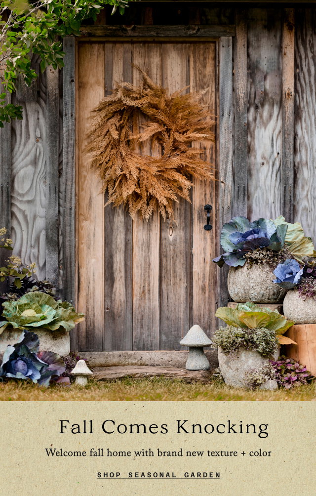 fall comes knocking. shop seasonal garden.
