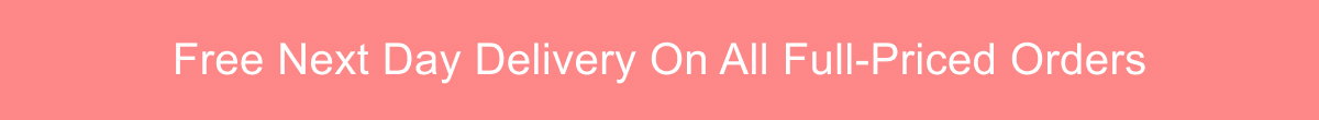 Free Next Day Delivery Banner